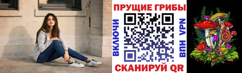 Галлюциногенные грибы прущие грибы  Челябинск 